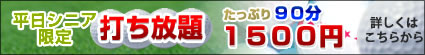 平日シニア打ち放題